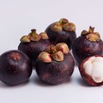 Manggis (Garcinia mangostana L.)
