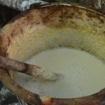 Badhek atau air Nira yang ditampung dalam ember - obyek nderes - potensi ekonomi - Desa Bumiharjo