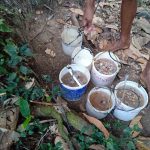 Pak Sardi menampung nira di wadah ember bekas cat - obyek ekonomi desa Bigaran