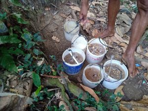 Pak Sardi menampung nira di wadah ember bekas cat - obyek ekonomi desa Bigaran