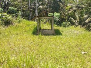 Budaya Spiritual - Cikal Bakal Bigaran Eyang Suro Duto - Singo Dipo - Mbah Gombloh dan Kyai Garan - Desa Bigaran 6