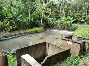Budaya Spiritual Tempat Sakral - Tuk Gayam - Desa Bigaran 1