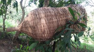 Budaya Spiritual penghidupan Desa Borobudur tradisi Memancing 5