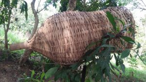 Budaya Spiritual penghidupan Desa Borobudur tradisi Memancing1