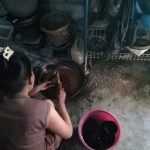 Nitis - kegiatan membuat gula jawa - Desa Bigaran Borobudur