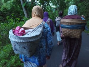 Pengetahuan Tradisional Ngendong Tenggok - Desa Bigaran Borobudur #2