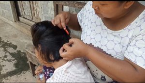 Pengetahuan tradisional - perawatan rambut Metani - desa Bigaran Borobudur 2