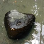 Tempat Keramat SITUS Cagar Budaya Desa Borobudur - Batu Abad