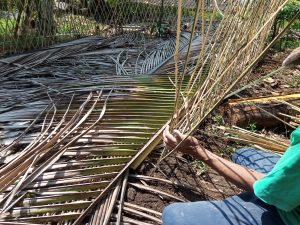 Tlisik dari bambu apus di Desa Bigaran Borobudur #2