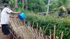 Tlisik dari bambu apus di Desa Bigaran Borobudur