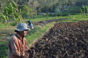 macul 2 -desa Bigaran Borobudur