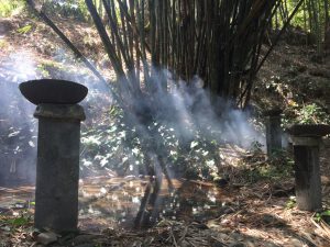 Rimbun Bambu di Sendang Bunder