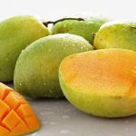 Mangga (Mangifera indica)