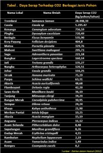 5 Pohon dengan Potensi Serapan Karbon Tertinggi