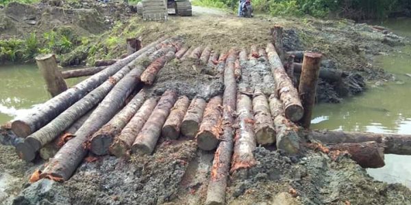 2manfaat kelapa 0191008-2df0b26d-7652-440a-929c-478fa4c17834