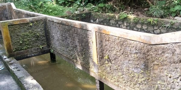 Budaya Spiritual - Tempat Sakral-Wingit-Petilasan Sendang Malih Rupo-Bojong Desa Wringinputih