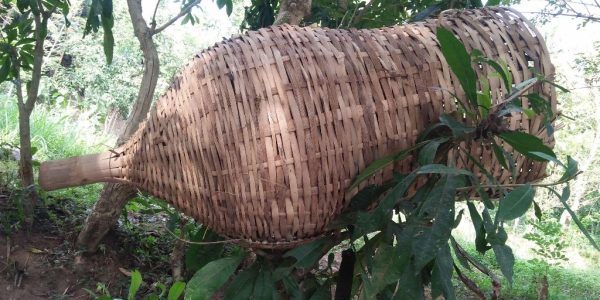 Budaya Spiritual penghidupan Desa Borobudur tradisi Memancing1