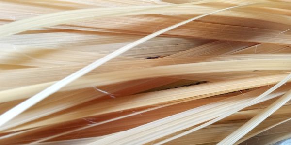 Kerajinan anyaman bambu- Besek - Desa Sambeng 11