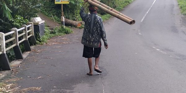 Nilai penting bambu dalam masyarakat desa