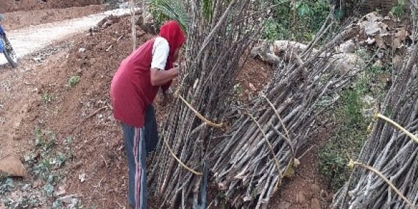 Pengetahuan-tradisional-Potensi-alam-Nggolek-Kayu-Bakar-Desa-Kembanglimus-04