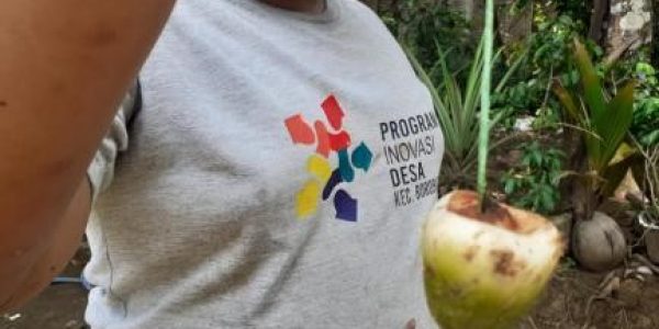 Permainan tradisional - Gedebok pisang dan gasing bluluk - Desa Kembanglimus 09