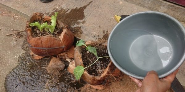 Potensi alam dan potensi ekonomi dan kerajinan - Pot - desa Bumiharjo 6