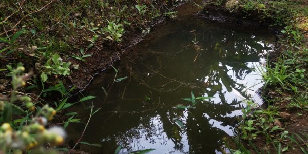 Tempat sakral - Sumber tengah alas - desa Karanganyar 3